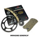 Kit catena yamahawr250 - kit,